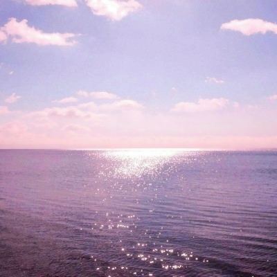 创造与魔法三星版下载