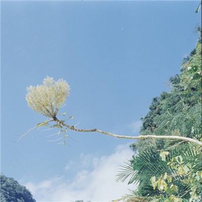 像素小精灵2虫虫助手版下载